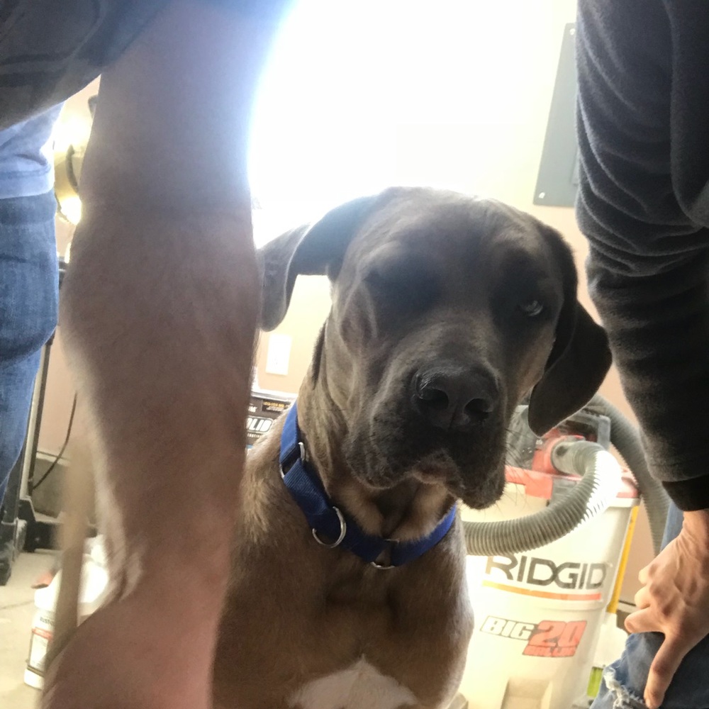 Meet your Posher, Tina